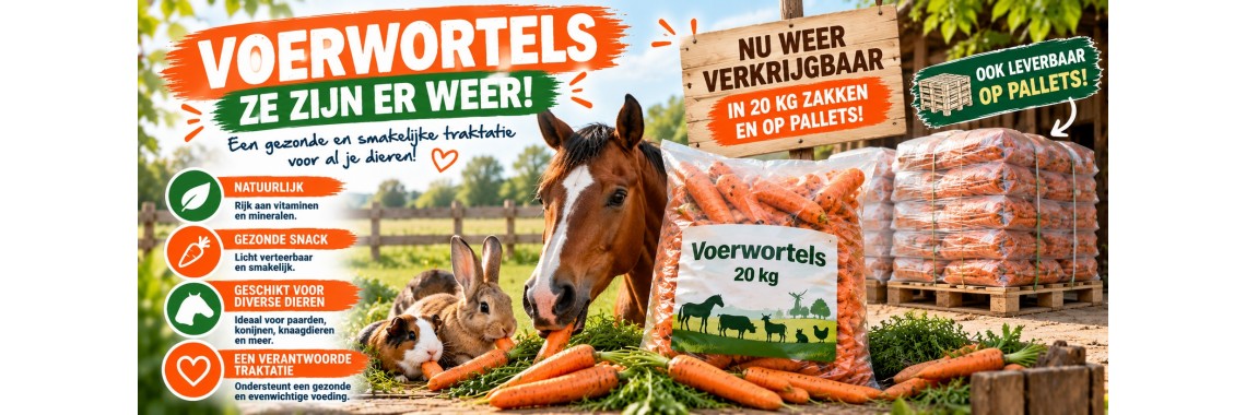voerwortel